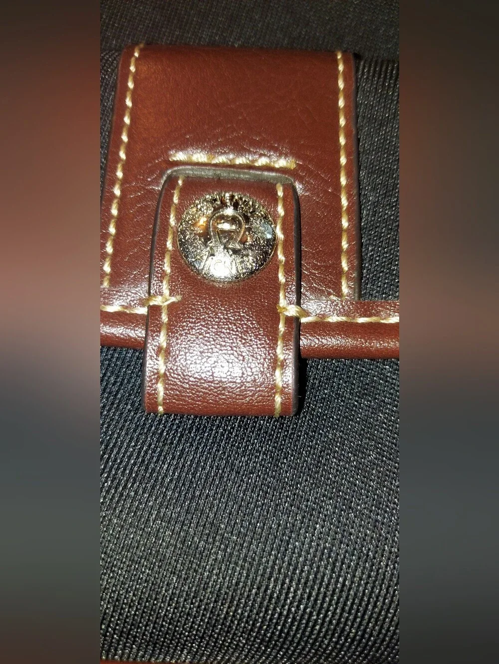 Etienne Aigner Black Canvas Crossbody with Brown Leather Trim